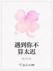 我遇见你稍晚但不迟