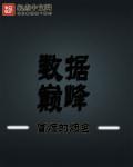 巅峰英雄数据