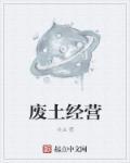 废土经营文女主无CP
