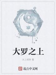 大罗是什么境界