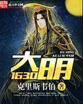 大明1630全文免费阅读