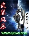 武装风暴 uutxt