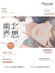 南乔免费阅读全文