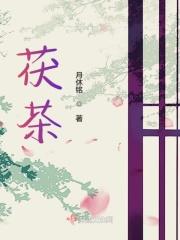 茯茶适合什么季节喝