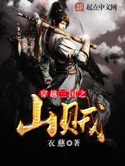三国之山贼当道