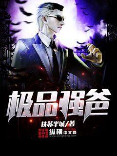 傻瓜王爷穿越妃