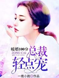 暖婚100分:总裁,轻点宠