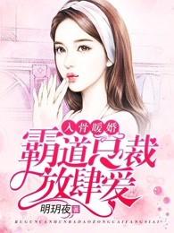 入骨暖婚,霸道总裁放肆爱