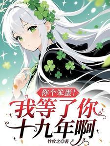 你个笨蛋！我等了你十九年啊