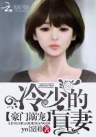 豪门溺宠:冷少的盲妻